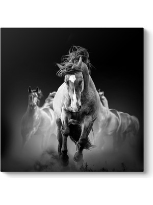 Tabloshop Siyah Beyaz Atlar Tablosu