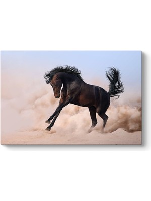 Tabloshop Küheylan At Tablosu