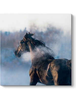 Tabloshop Asil Siyah At Tablosu