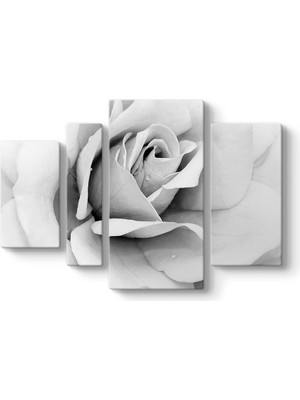 Tabloshop Siyah Beyaz Gül Kanvas Tablosu