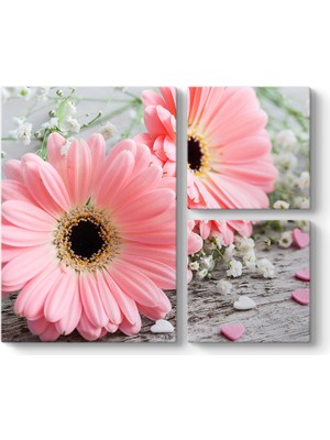 Tabloshop Pembe Gerbera Çiçeği Tablosu