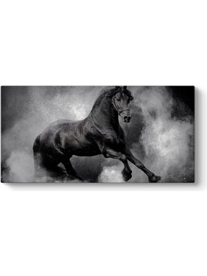 Tabloshop Güçlü Siyah At Tablosu