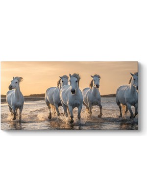 Tabloshop Camargue'da Koşan Beyaz Atlar Tablosu