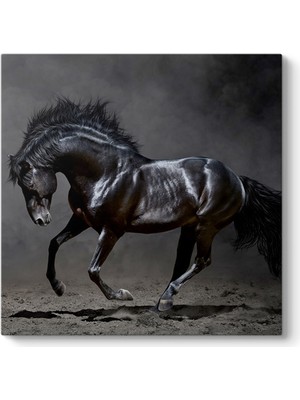 Tabloshop Koşan Siyah At Tablosu