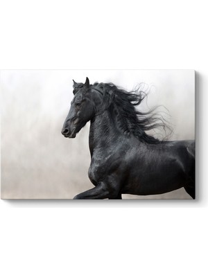 Tabloshop Puslu At Tablosu