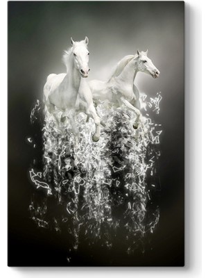 Tabloshop Soyut Beyaz Atlar Tablosu