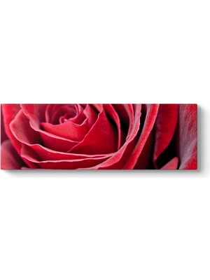 Tabloshop Kırmızı Gül Tablosu