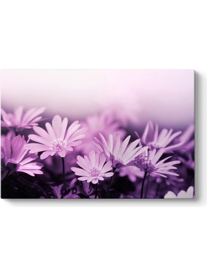 Tabloshop Lila Çiçekler Tablosu