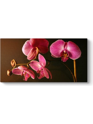 Tabloshop Orkide Art Tablosu
