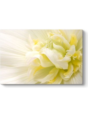Tabloshop White Flower Iıı Tablosu