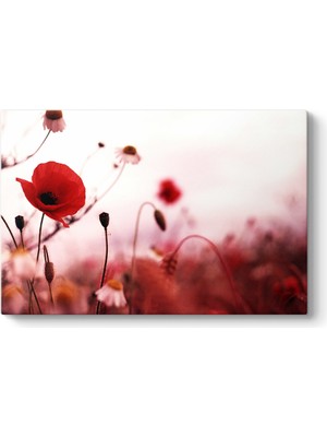 Tabloshop Gelincik Yalnızlık Tablosu