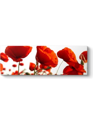 Tabloshop Bahçede Gelincikler Tablosu