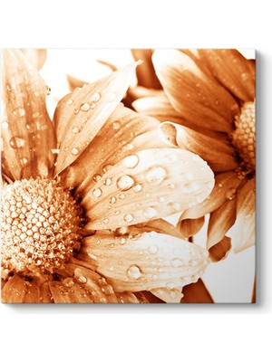 Tabloshop Su Damlaları Tablosu