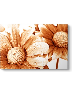 Tabloshop Su Damlaları Tablosu