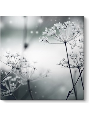Tabloshop Evren Çiçeği Tablosu