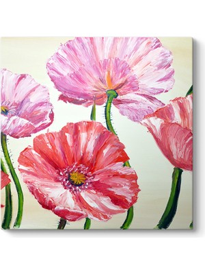 Tabloshop Gelincikler Reprodüksiyon Tablosu