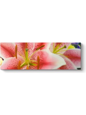 Tabloshop Güzel Çiçekler Panorama Tablo