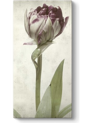 Tabloshop Açmamış Çiçek Tablosu