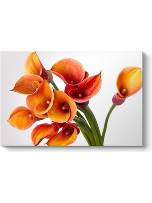 Tabloshop Sarı Zambaklar Tablosu