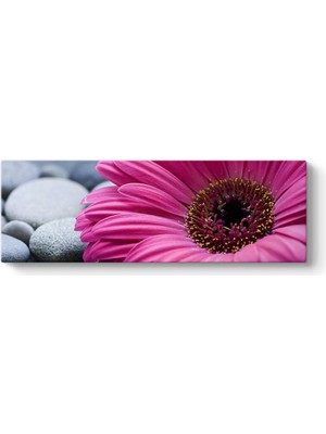 Tabloshop Gerbera  Taşlar Tablosu