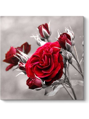 Tabloshop Kırmızı Güller Tablosu