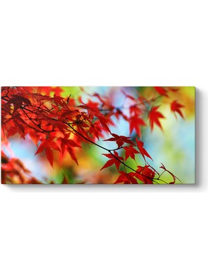 Tabloshop Sybilla Kanvas Tablosu