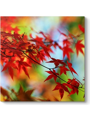 Tabloshop Sybilla Kanvas Tablosu