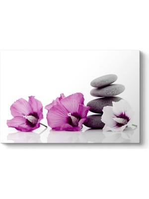 Tabloshop Sade Taşlar ve Çiçek Tablosu
