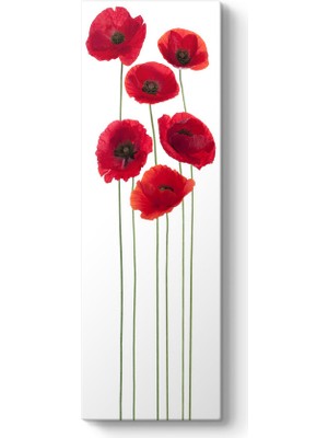 Tabloshop Vektörel Gelincikler Tablosu