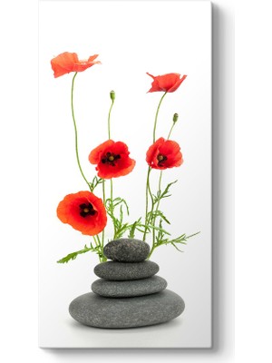 Tabloshop Gelincikler ve Taşlar Tablosu