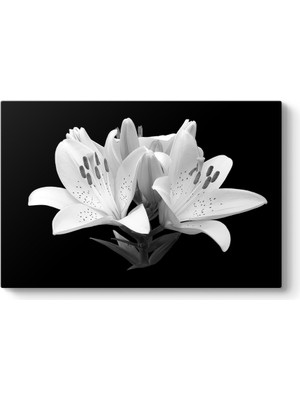 Tabloshop Siyah Beyaz Soyut Çiçek Tablosu
