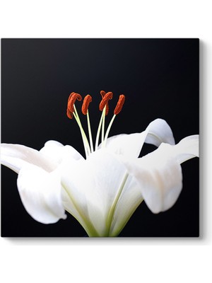Tabloshop Blossom Tablosu