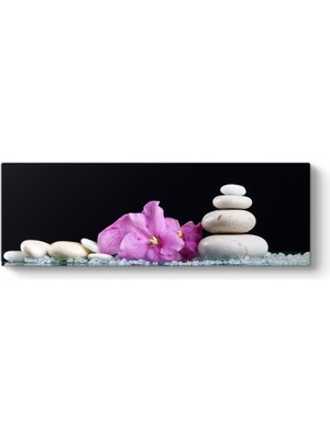 Tabloshop Mor Çiçek ve Çakıl Taşları Panorama Tablo