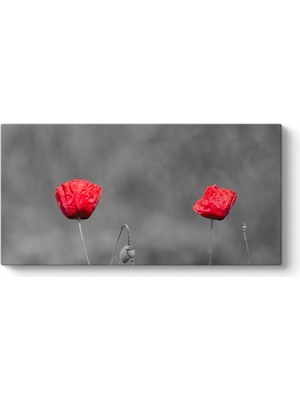 Tabloshop Kırmızı Gelincik Tablosu