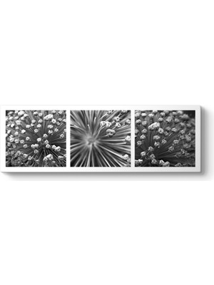 Tabloshop Triptych Tablosu