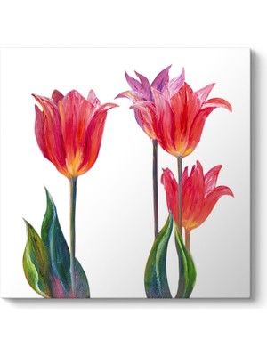 Tabloshop Lale Çiçek Art Tablosu
