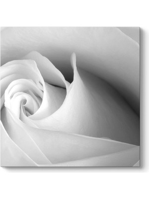 Tabloshop White Rose Tablosu