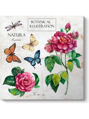 Tabloshop Natura Tablo