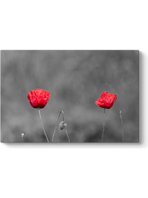 Tabloshop Kırmızı Gelincik Tablosu