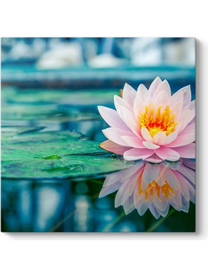 Tabloshop Pembe Nilüfer Tablosu