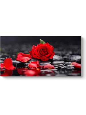 Tabloshop Kırmızı Gül ve Yaprakları Tablosu
