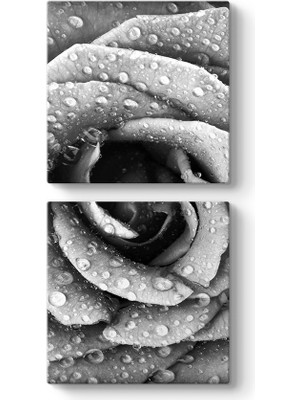 Tabloshop Siyah Beyaz Gül Duvar Tablosu