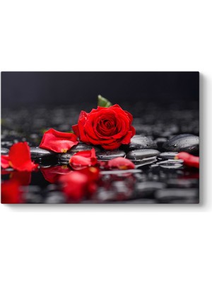 Tabloshop Kırmızı Gül ve Yaprakları Tablosu