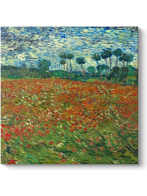 Tabloshop Vincent Van Gogh - Poppt Field  Tablosu