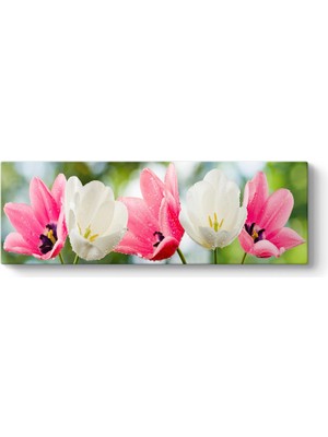 Tabloshop Islak Pembe Beyaz Çiçekler Tablosu