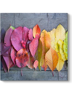 Tabloshop Renkli Yapraklar Tablosu