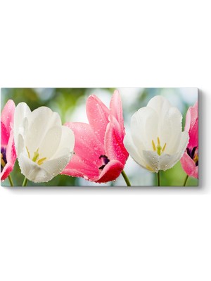 Tabloshop Islak Pembe Beyaz Çiçekler Tablosu