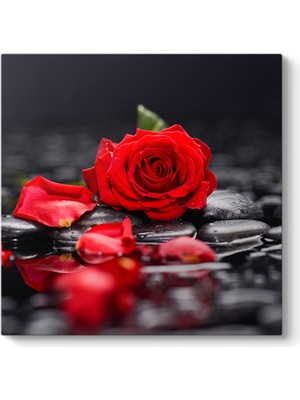 Tabloshop Kırmızı Gül ve Yaprakları Tablosu