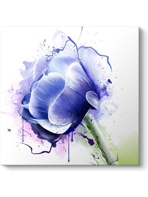 Tabloshop Anemone Çiçeği Tablosu