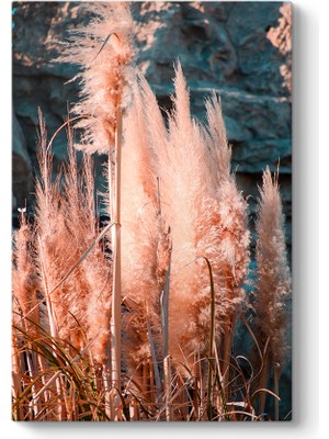 Tabloshop Pampas Otu Tablosu